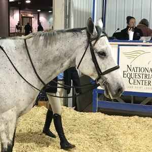 Meet your Posher, Chris